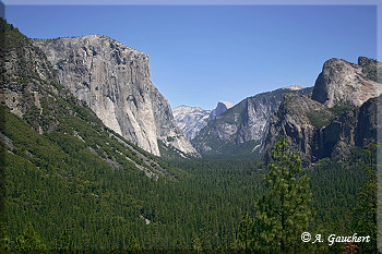 Blick auf das Yosemite Valley